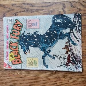 Vintags 60s Black Fury "Sierra Storm" And "The Long Road" Charlton Comics Book